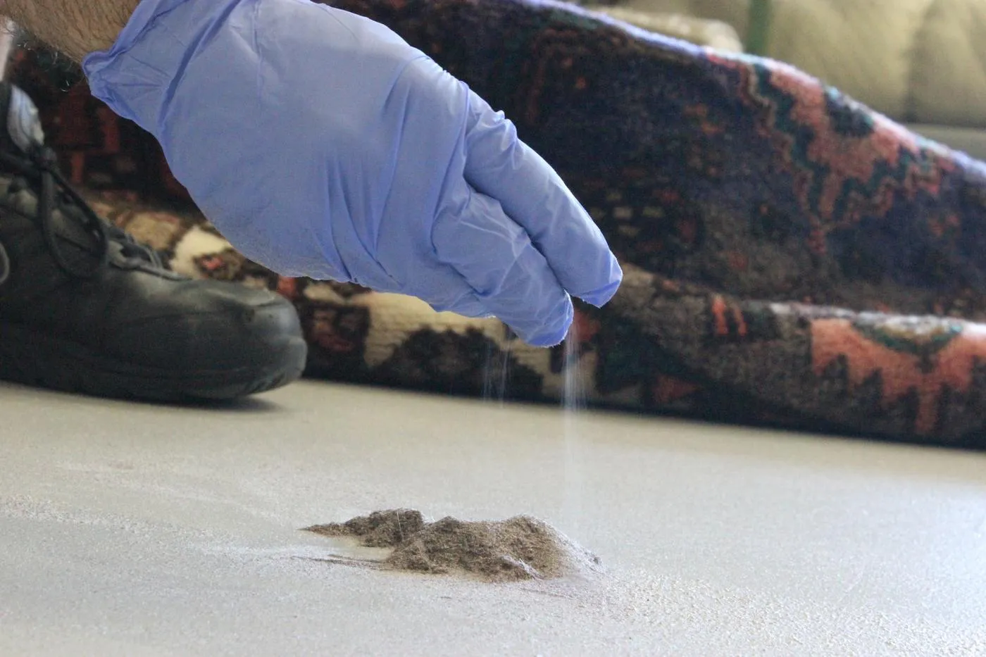 Gloved hand showing the pile of fine dry soil removed from a rug before washing